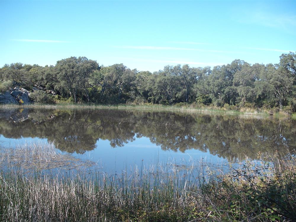 Laguna de la Dehesa