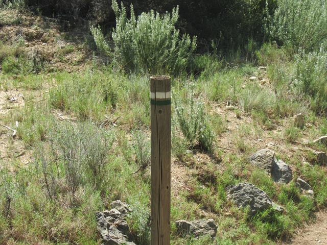 Estaca de Madera