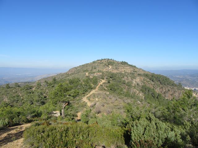 Pista