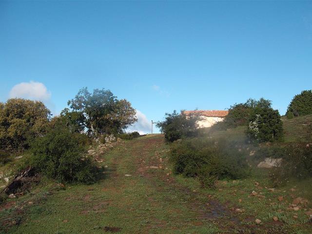 Masía