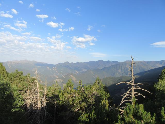 Vistas