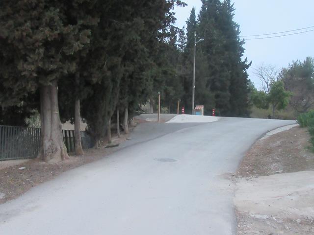 Camino