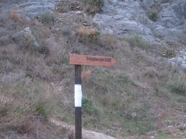 Cartel