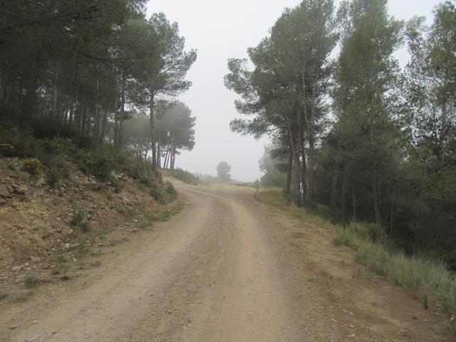 Cruce