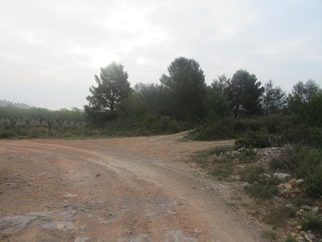 Cruce