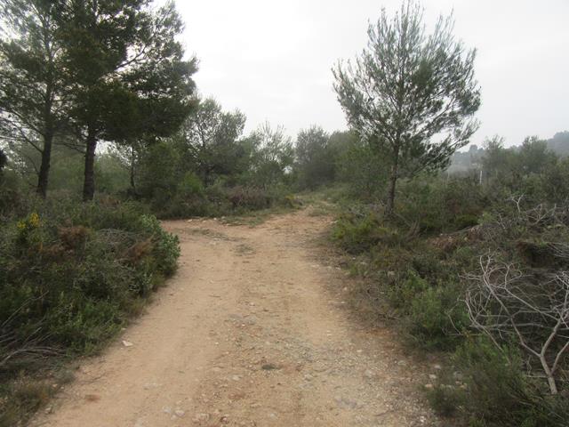 Cruce