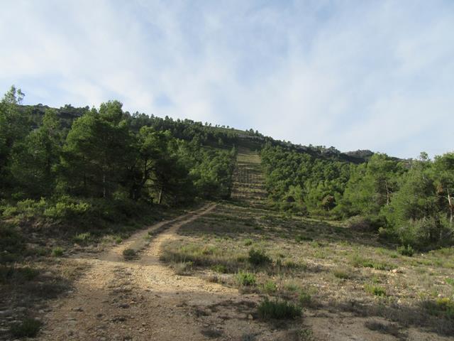 Cortafuegos