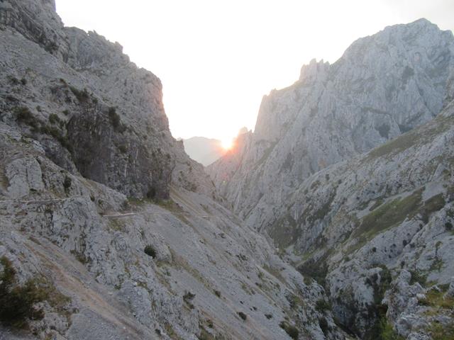 Vistas