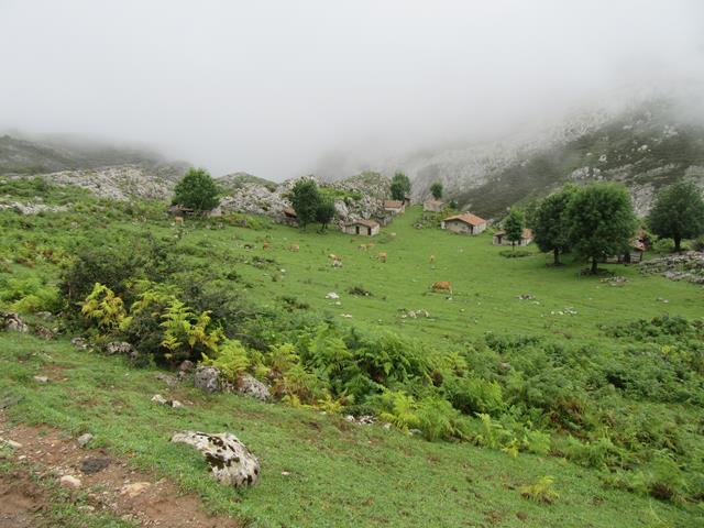 Aldea