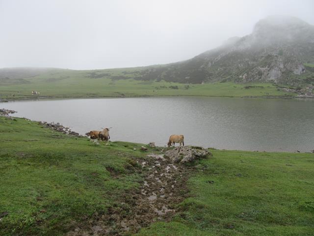 Lago Ercina