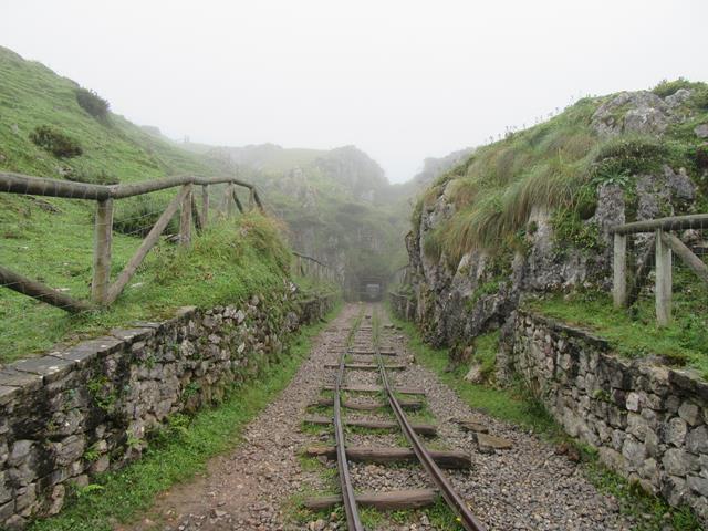 Raíl