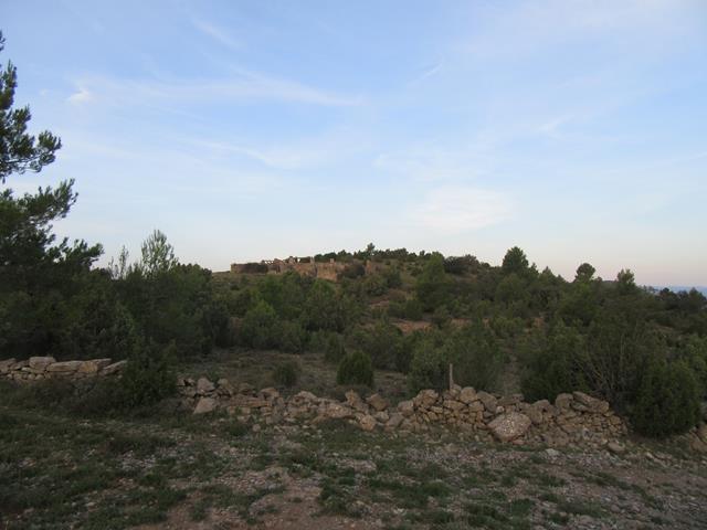 Camino