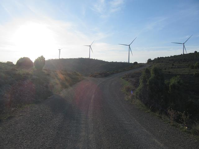 Camino