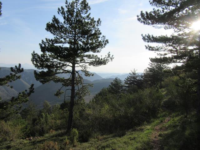 Vistas