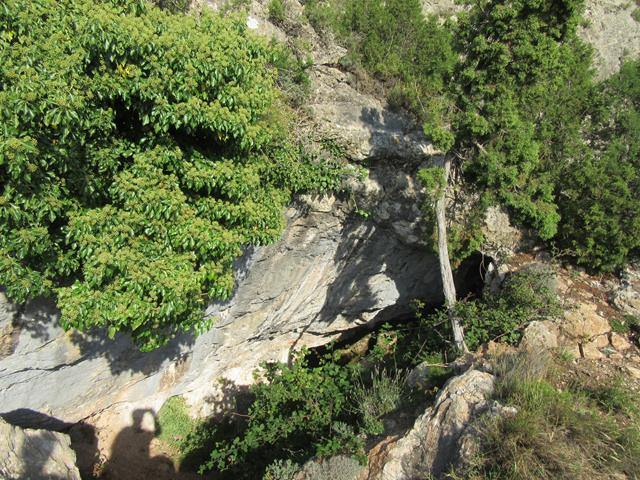 Cueva