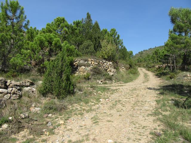 Cruce