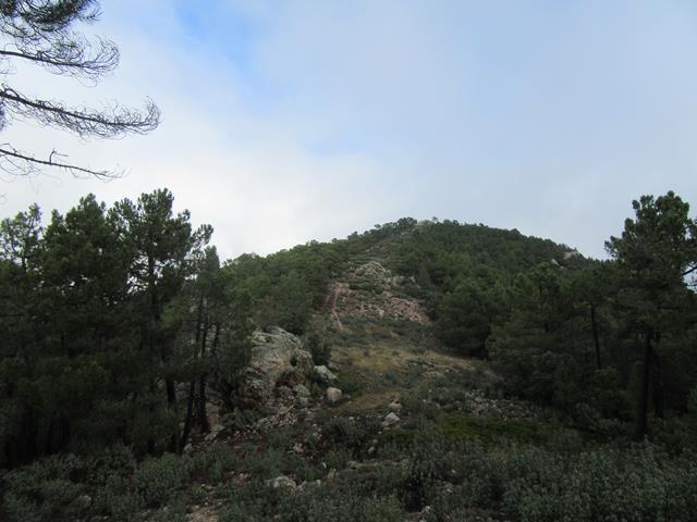 Camino