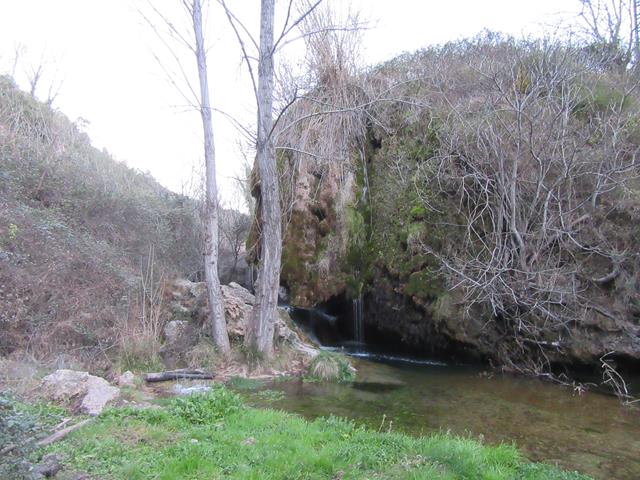 Cascada