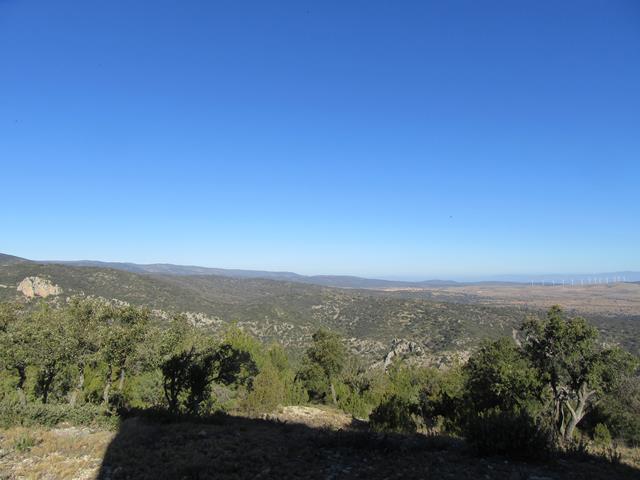 Vistas