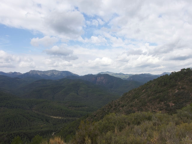 Vistas