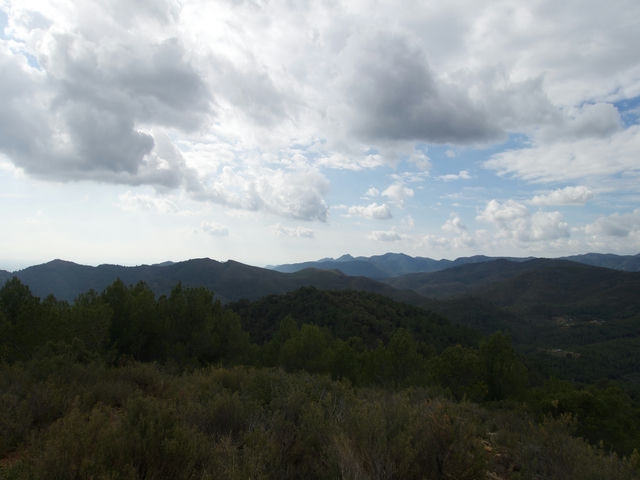 Vistas
