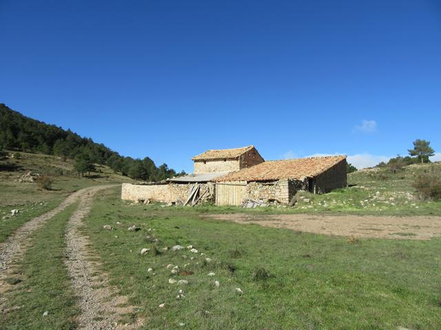 Corral