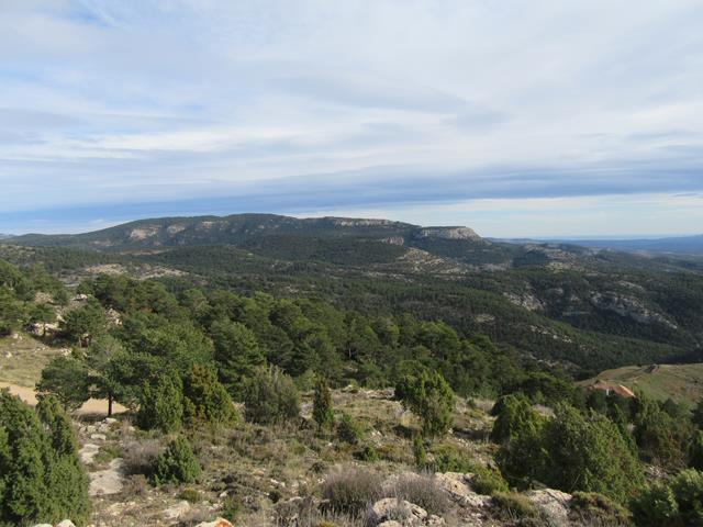 Vistas