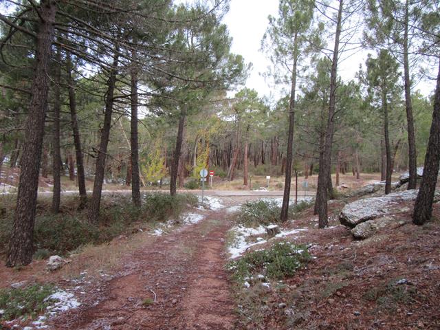 Camino