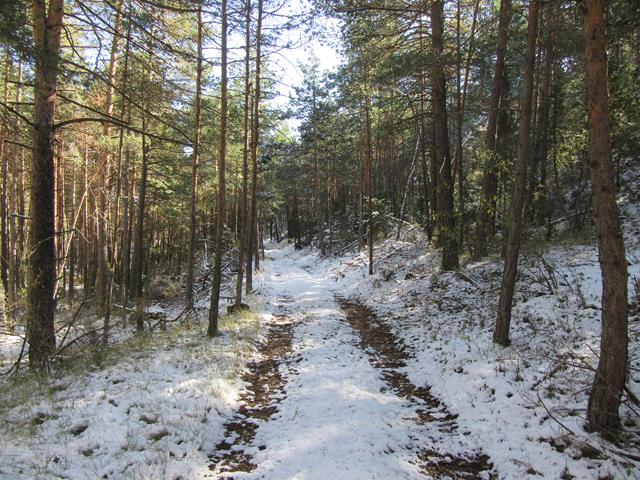 Camino