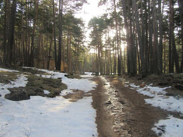 Camino