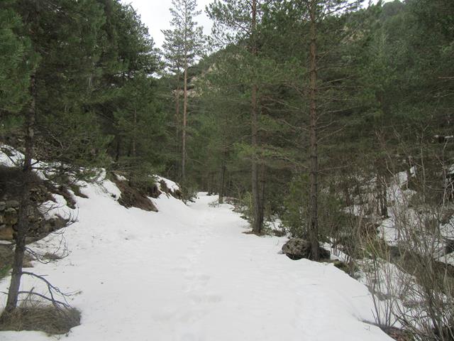 Rambla con Nieve