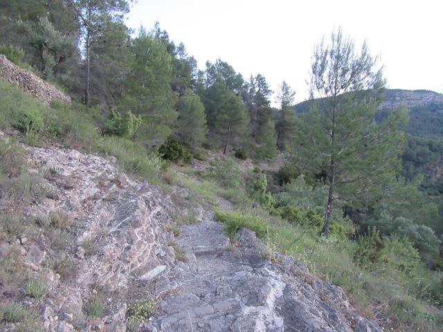 Camino