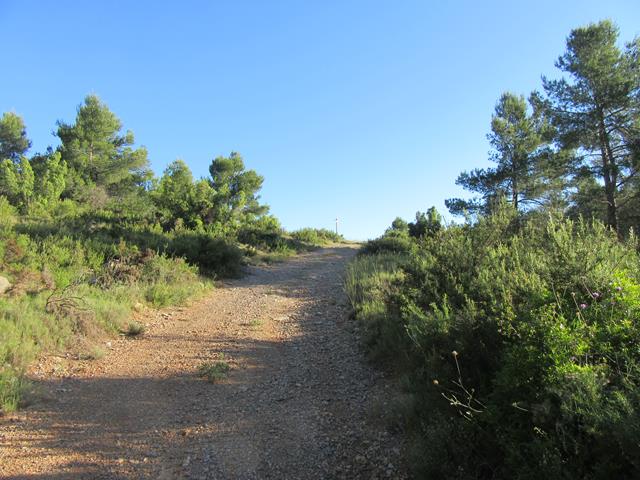 Camino