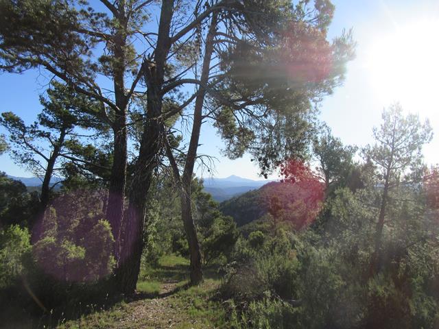 Vistas