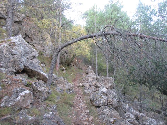 Senda