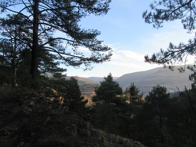 Vistas