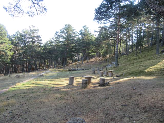 Area Recreativa