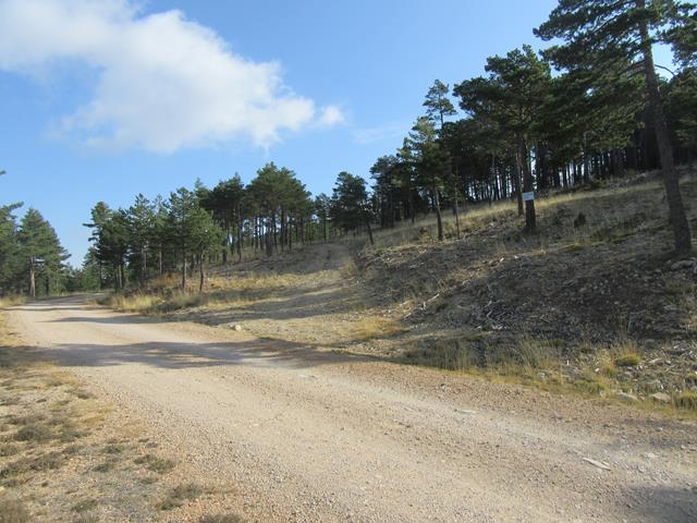 Pista