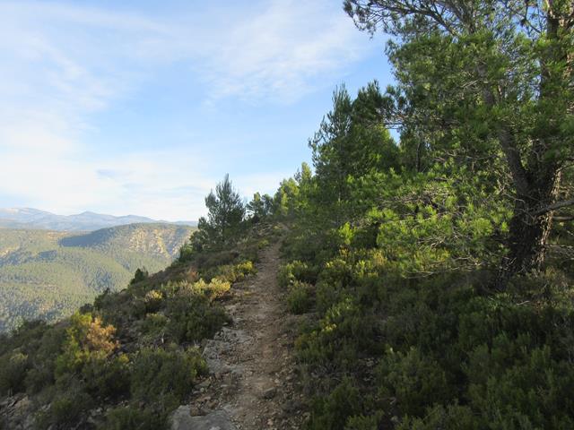 Senda