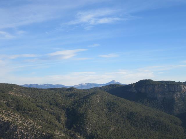 Vistas