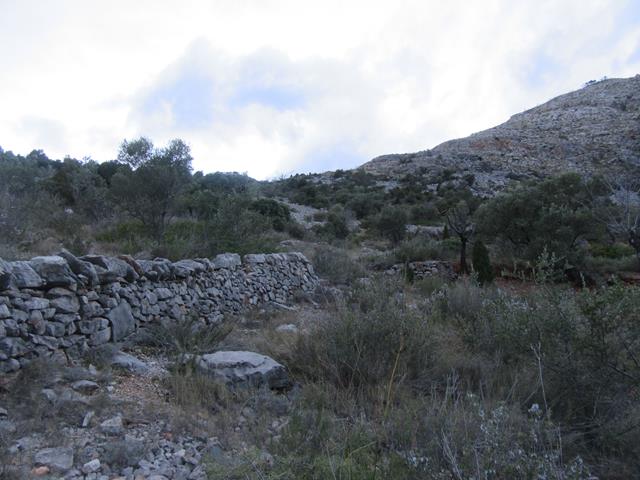 Subida