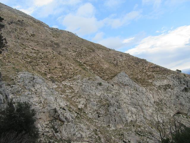 Vistas