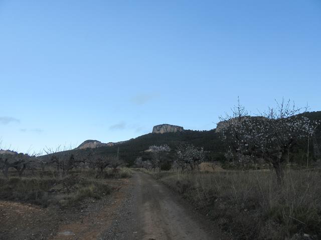 Campos