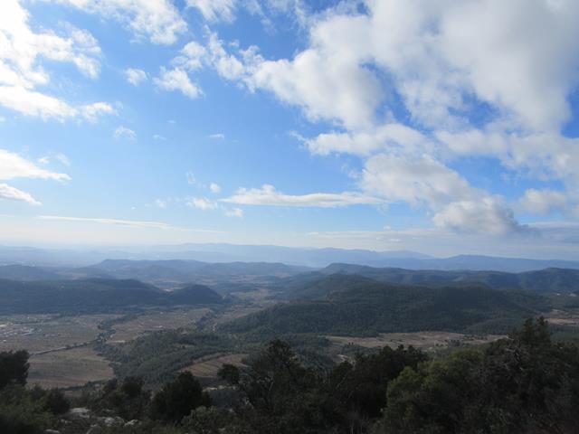 Vistas