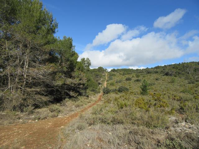 Senda