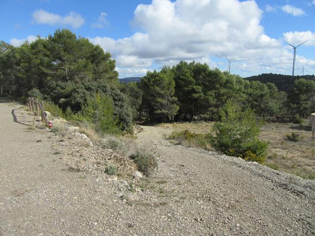 Camino