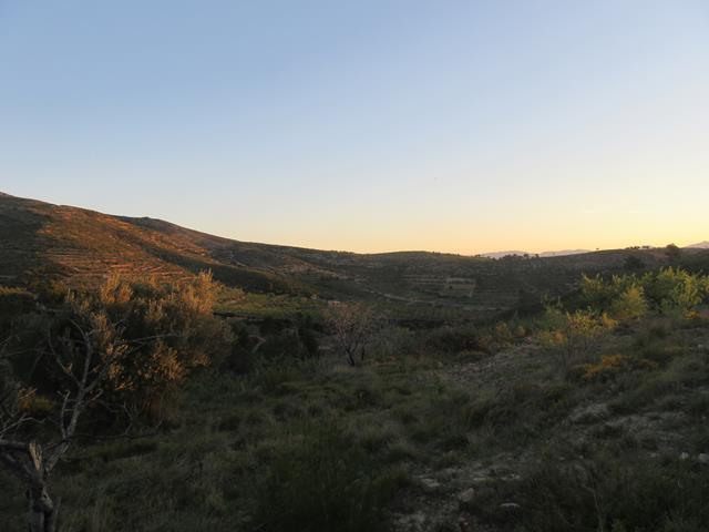 Vistas