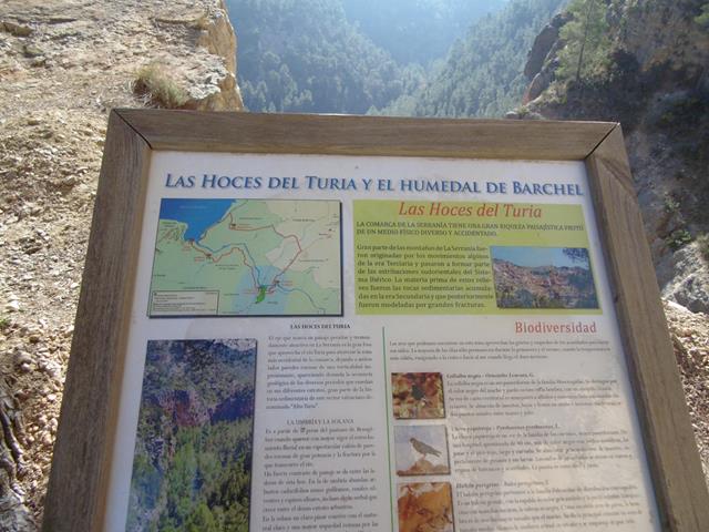 Cartel