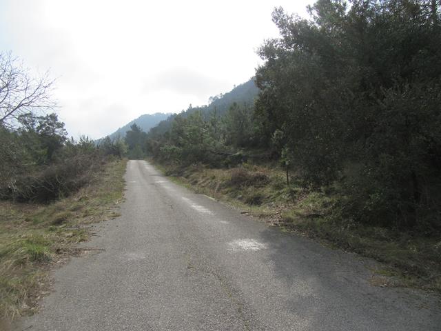 Cartel junto al Árbol