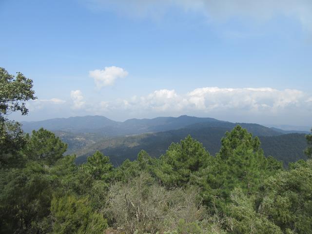 Vistas